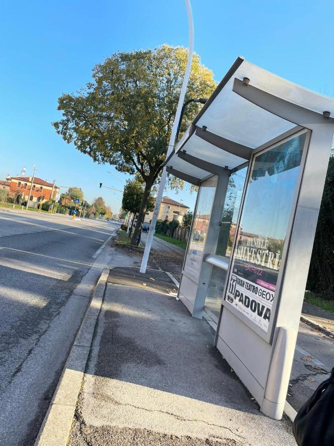 Appartamento Al Parco Πάδοβα Εξωτερικό φωτογραφία